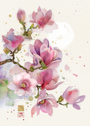 Magnolia