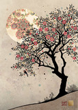 Red Flower Tree